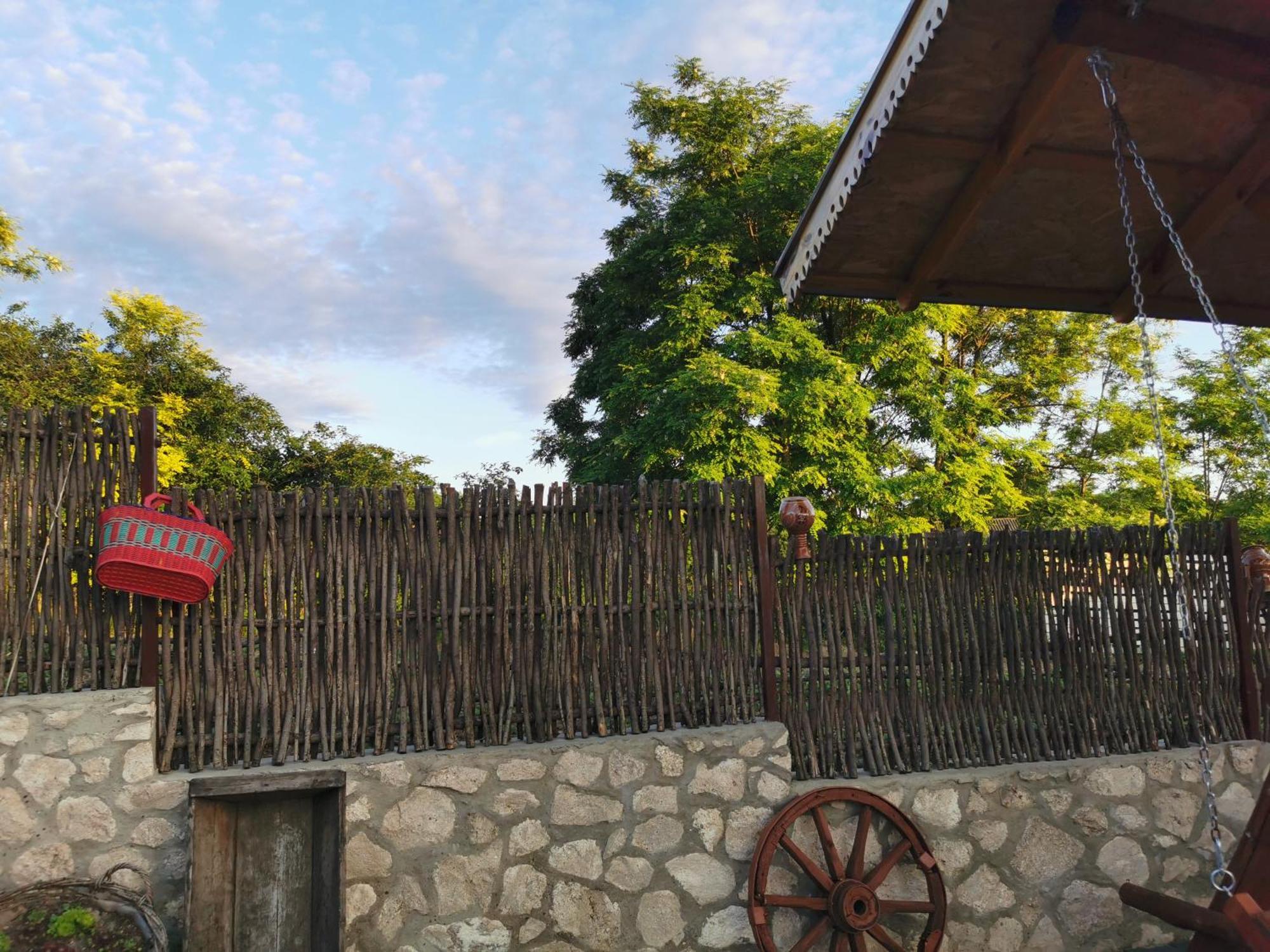 La Madalina Bed & Breakfast Selemet ภายนอก รูปภาพ