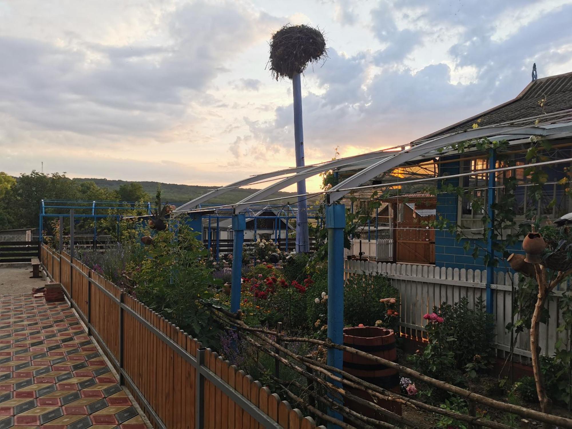 La Madalina Bed & Breakfast Selemet ภายนอก รูปภาพ